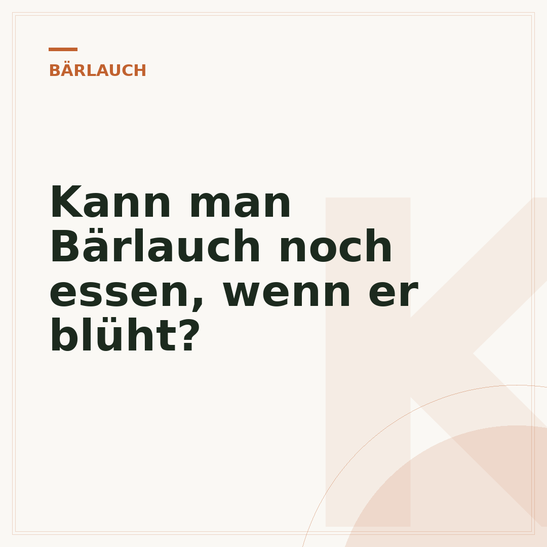 Kann man Bärlauch noch essen, wenn er blüht?