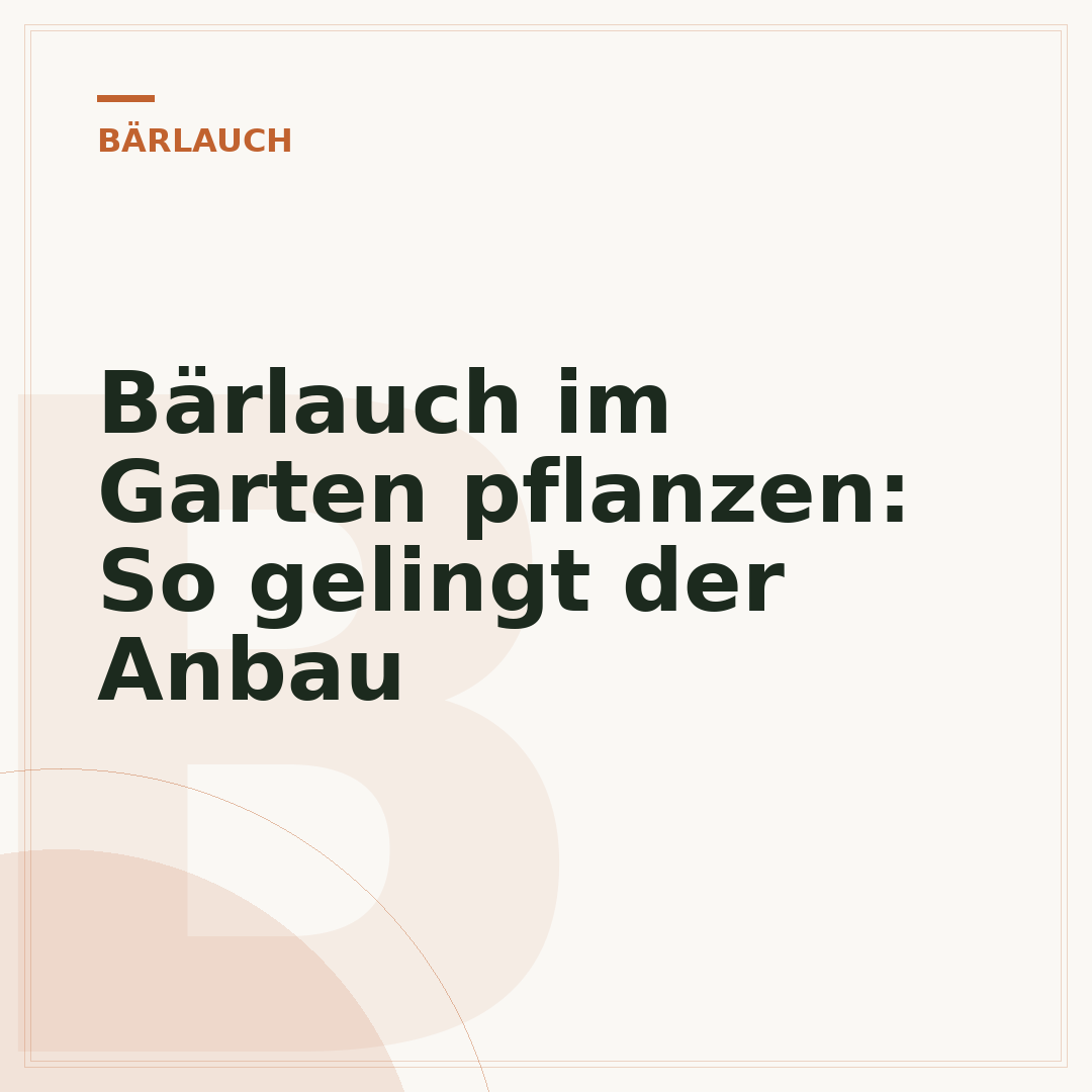 Bärlauch im Garten pflanzen: So gelingt der Anbau