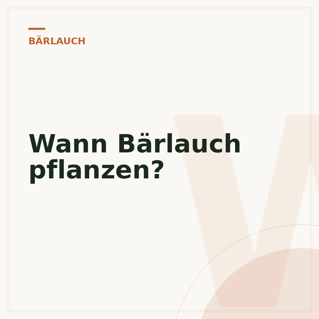 Wann Bärlauch pflanzen?