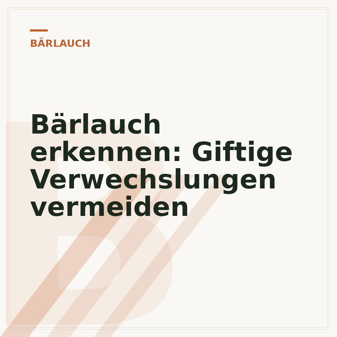 Bärlauch erkennen: Giftige Verwechslungen vermeiden