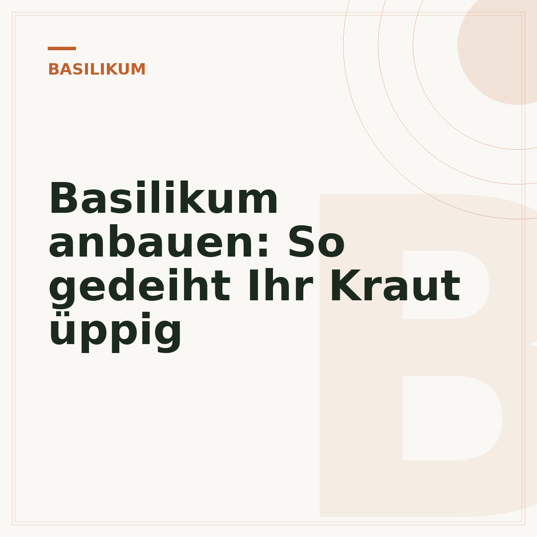 Basilikum anbauen: So gedeiht Ihr Kraut üppig