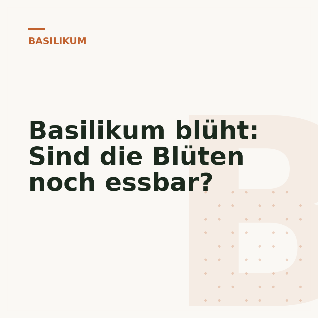 Basilikum blüht: Sind die Blüten noch essbar?