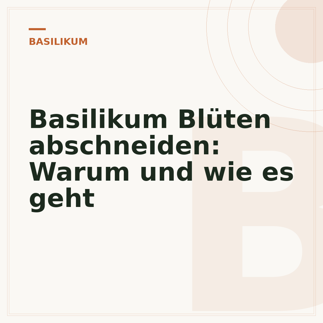 Basilikum Blüten abschneiden: Warum und wie es geht