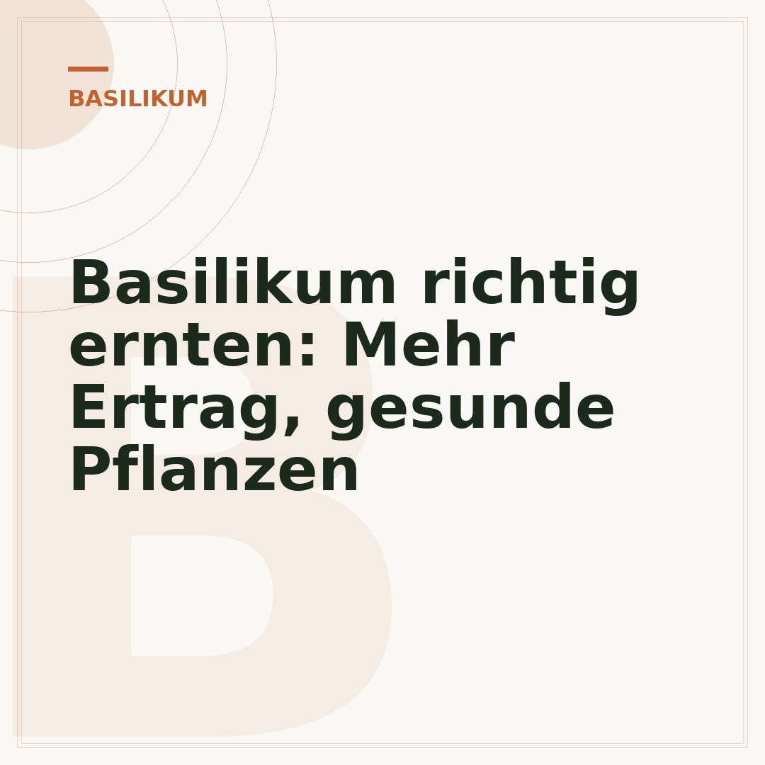 Basilikum richtig ernten: Mehr Ertrag, gesunde Pflanzen
