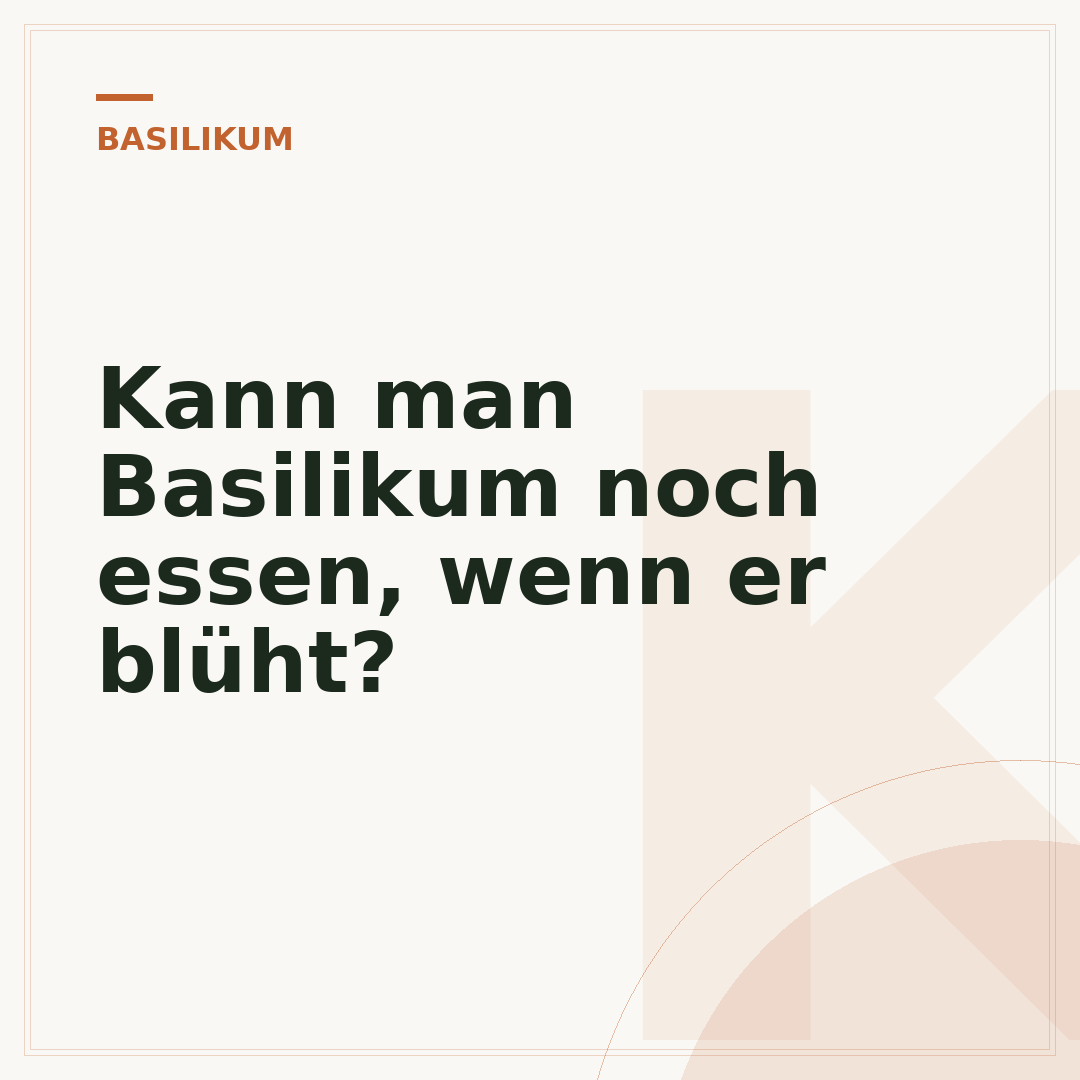 Kann man Basilikum noch essen, wenn er blüht?