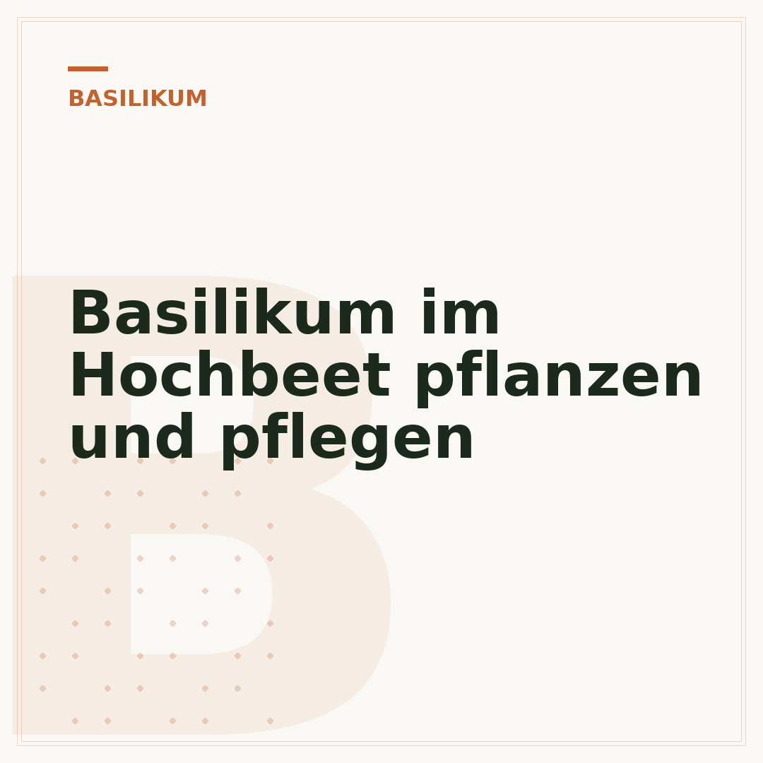 Basilikum im Hochbeet pflanzen und pflegen