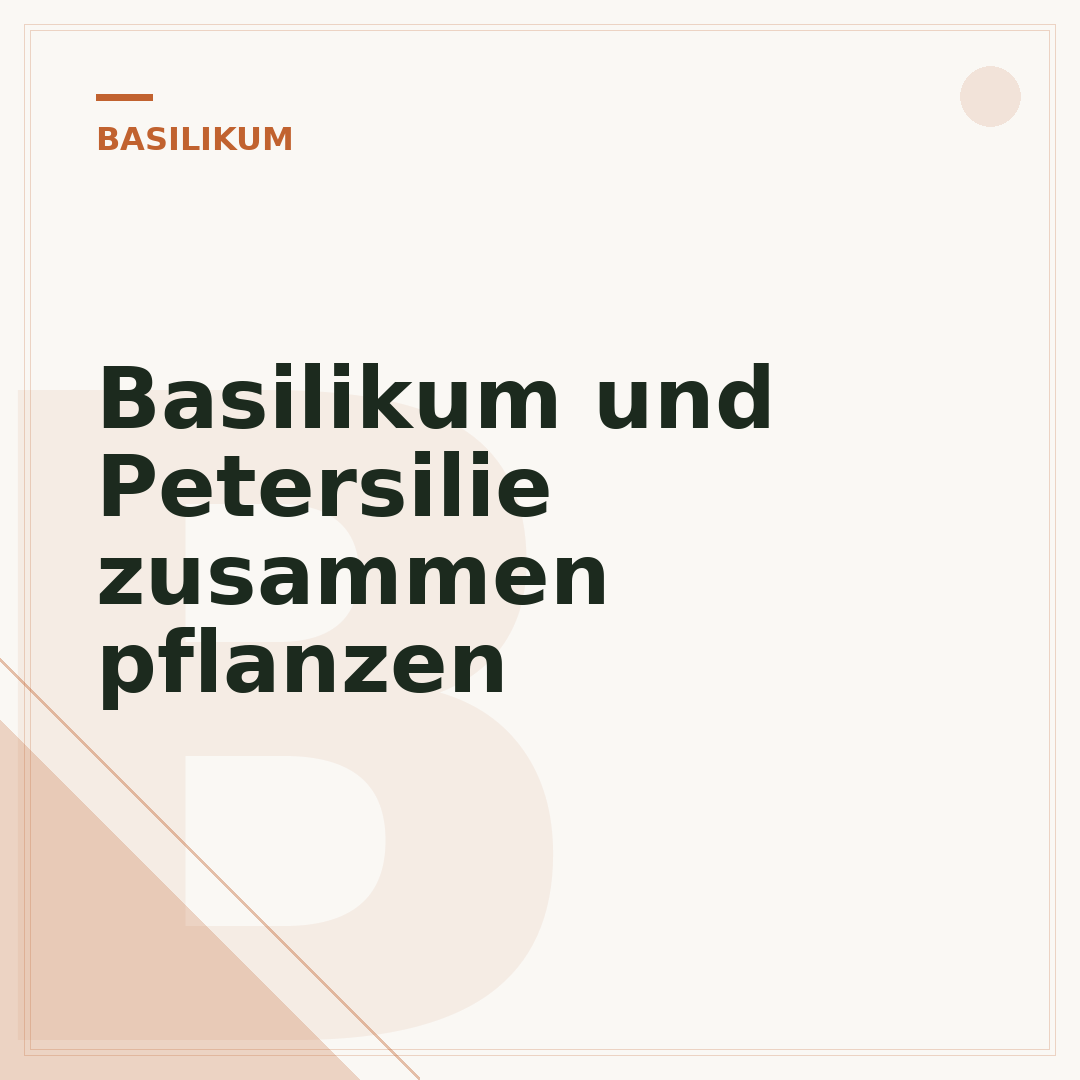 Basilikum und Petersilie zusammen pflanzen