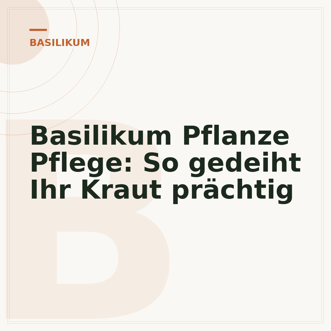 Basilikum Pflanze Pflege: So gedeiht Ihr Kraut prächtig