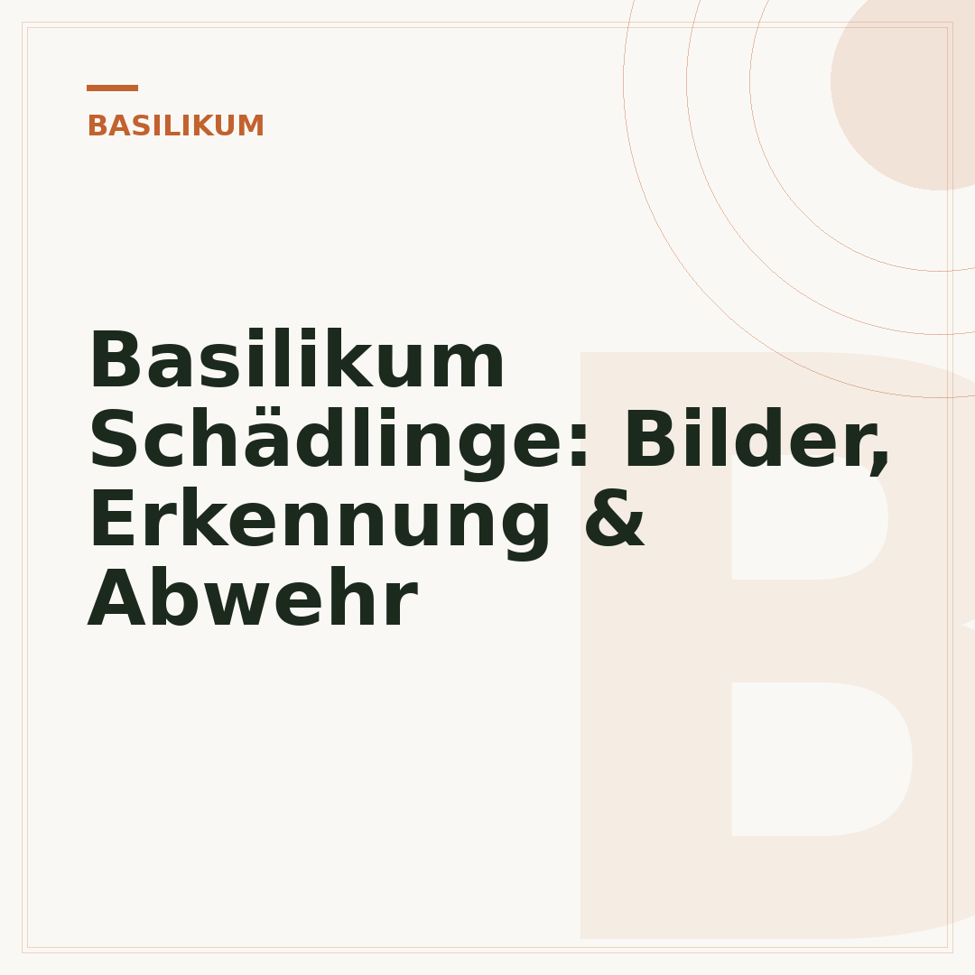 Basilikum Schädlinge: Bilder, Erkennung & Abwehr