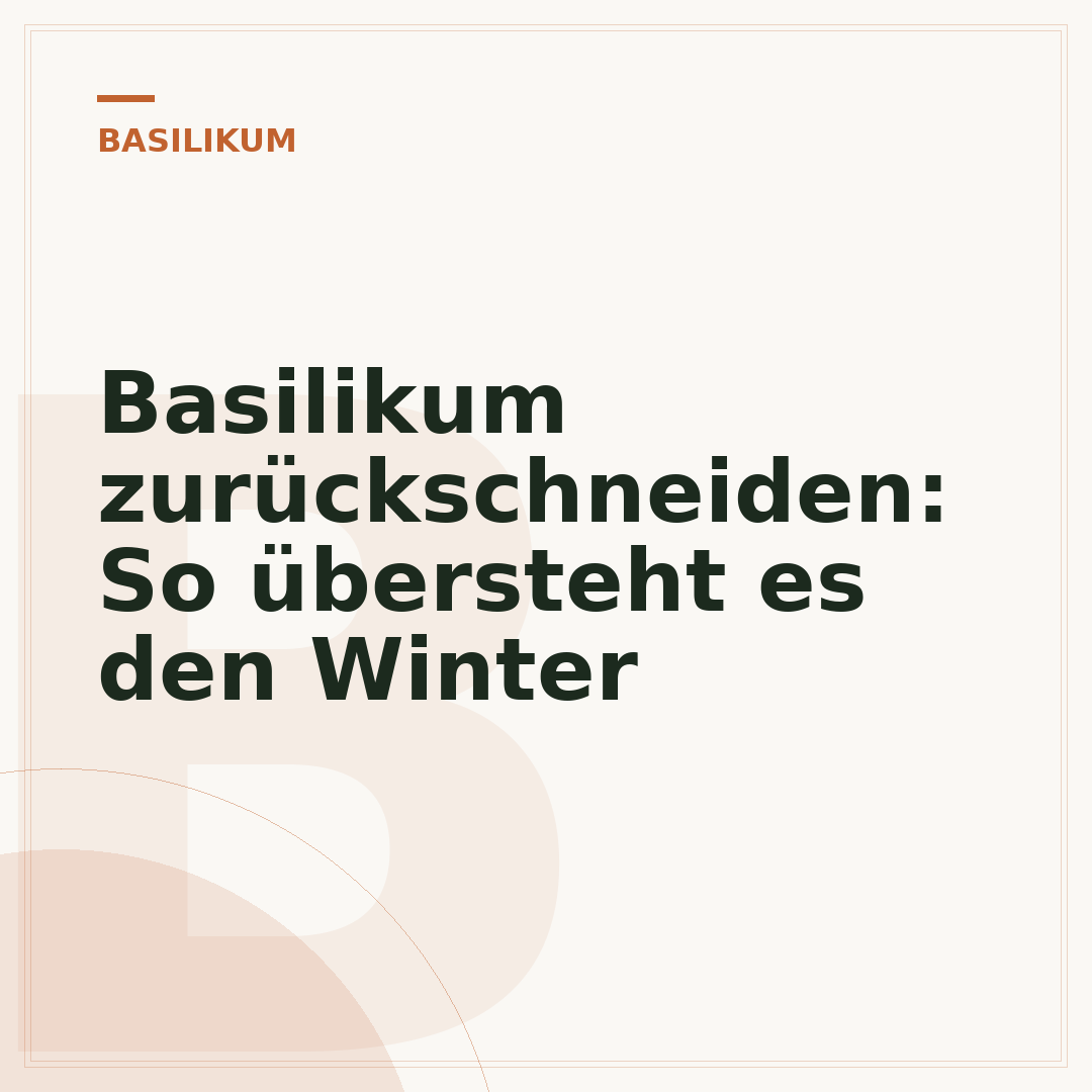 Basilikum zurückschneiden: So übersteht es den Winter