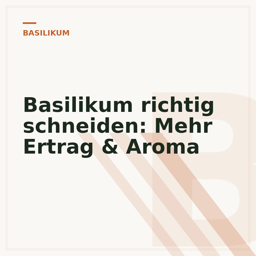 Basilikum richtig schneiden: Mehr Ertrag & Aroma