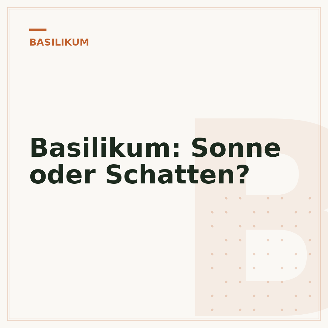 Basilikum: Sonne oder Schatten?