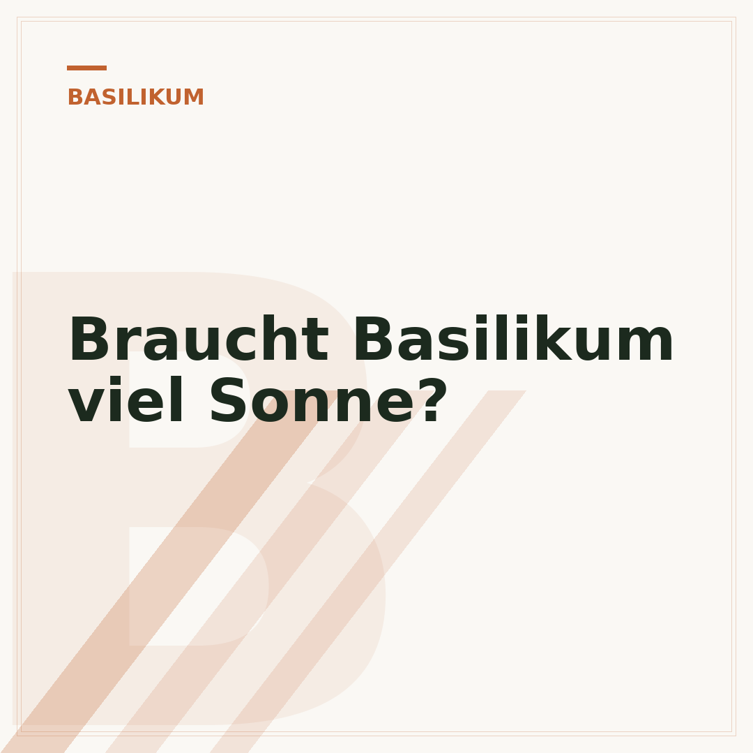 Braucht Basilikum viel Sonne?
