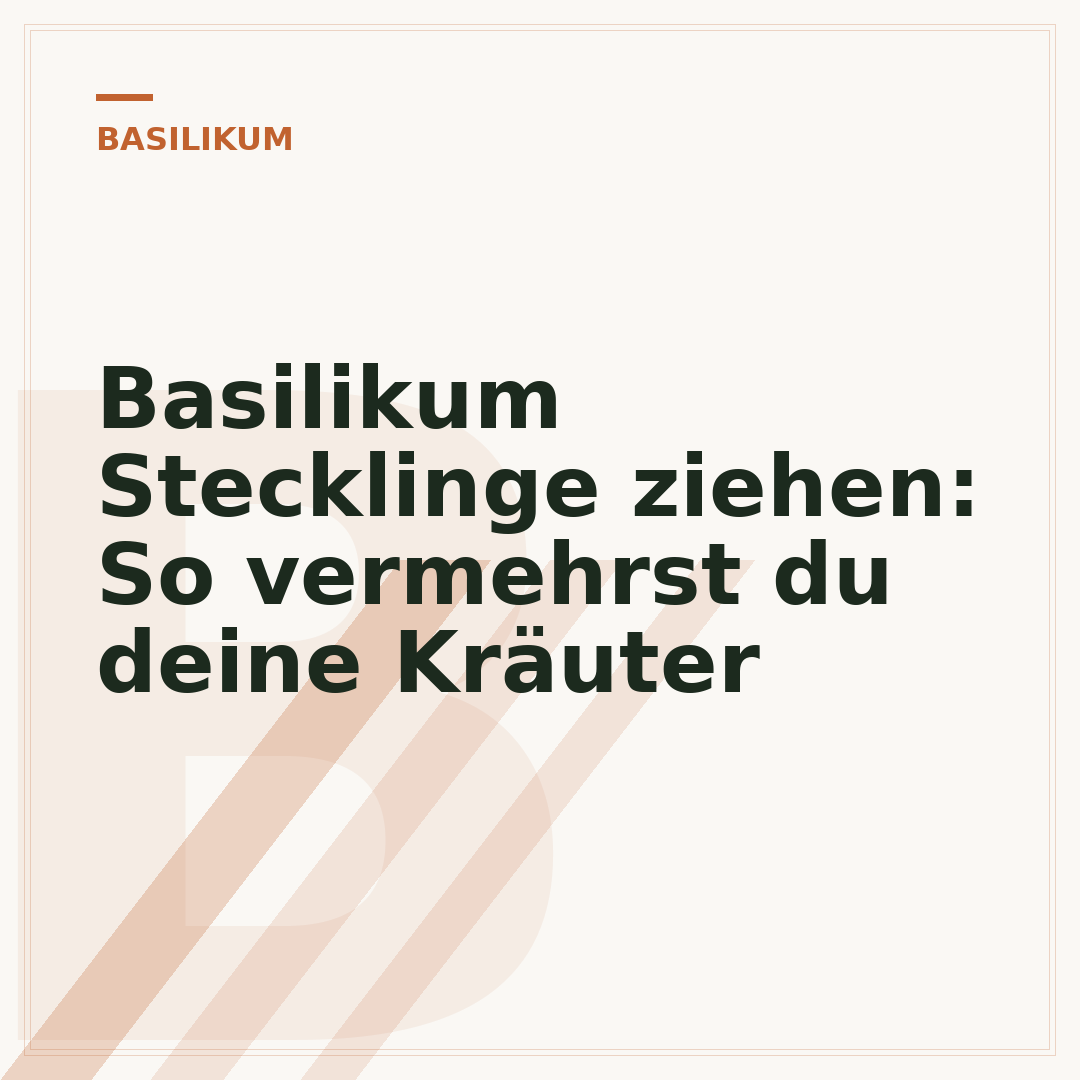 Basilikum Stecklinge ziehen: So vermehrst du deine Kräuter