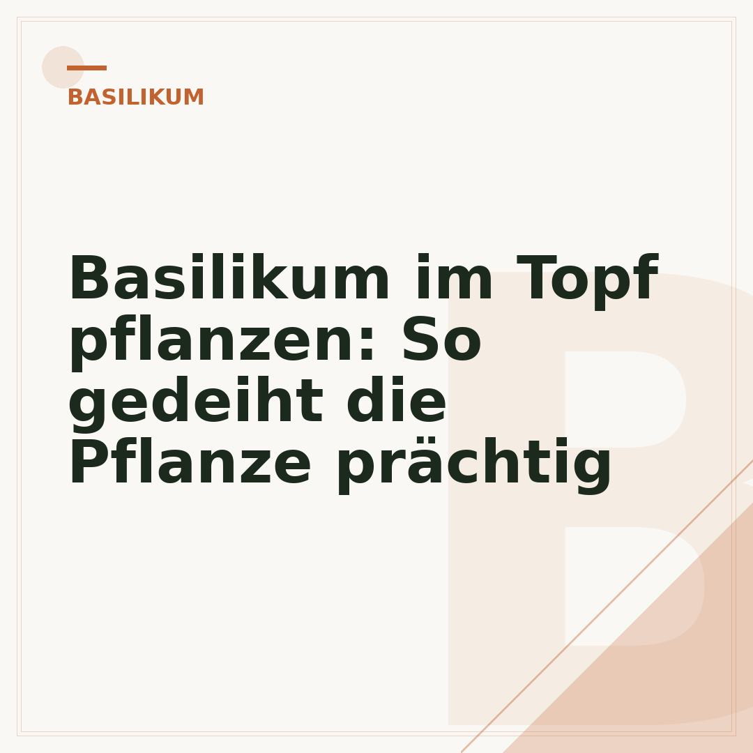 Basilikum im Topf pflanzen: So gedeiht die Pflanze prächtig