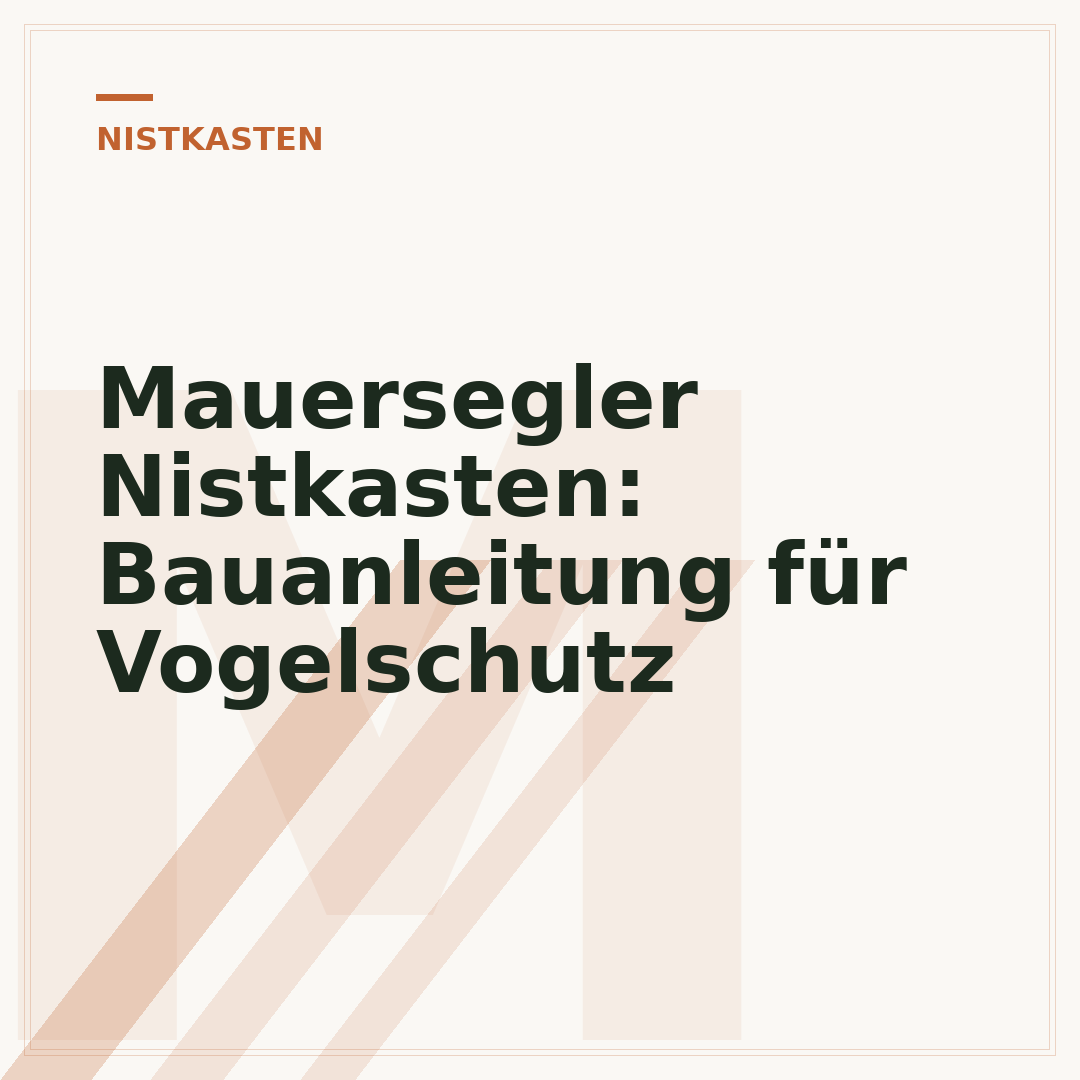 Mauersegler Nistkasten: Bauanleitung für Vogelschutz