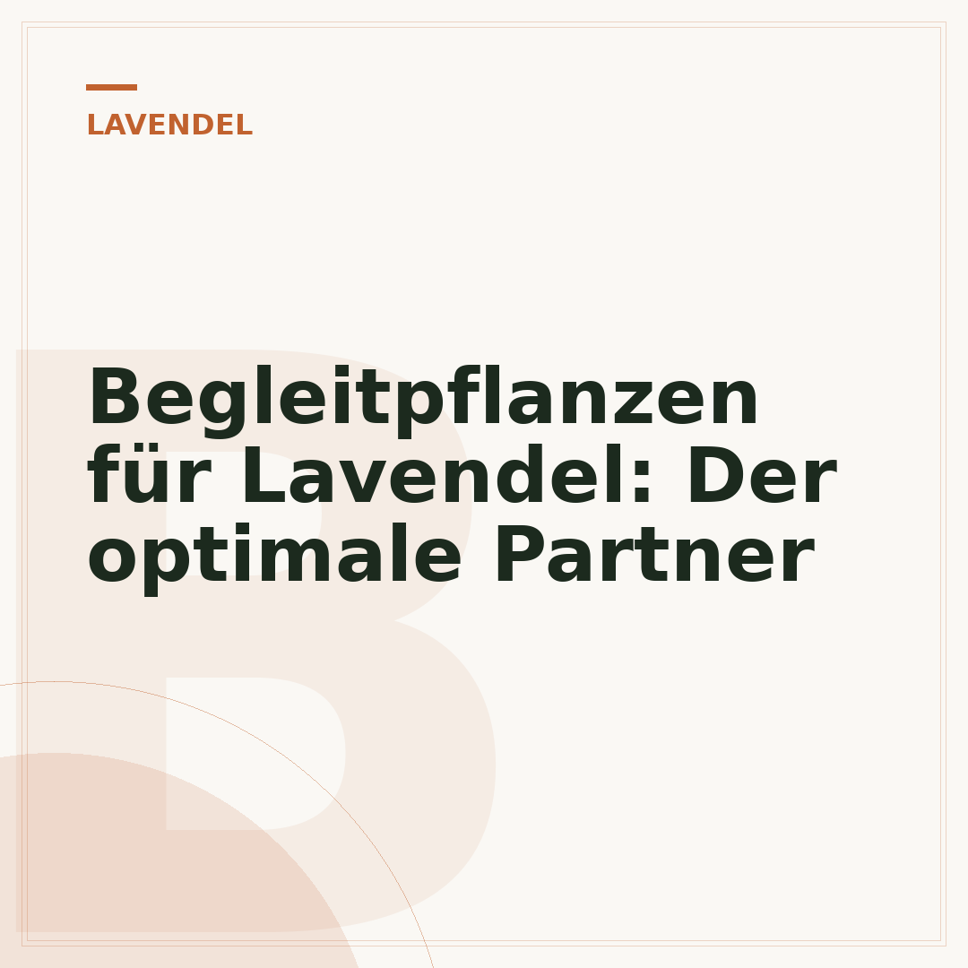 Begleitpflanzen für Lavendel: Der optimale Partner