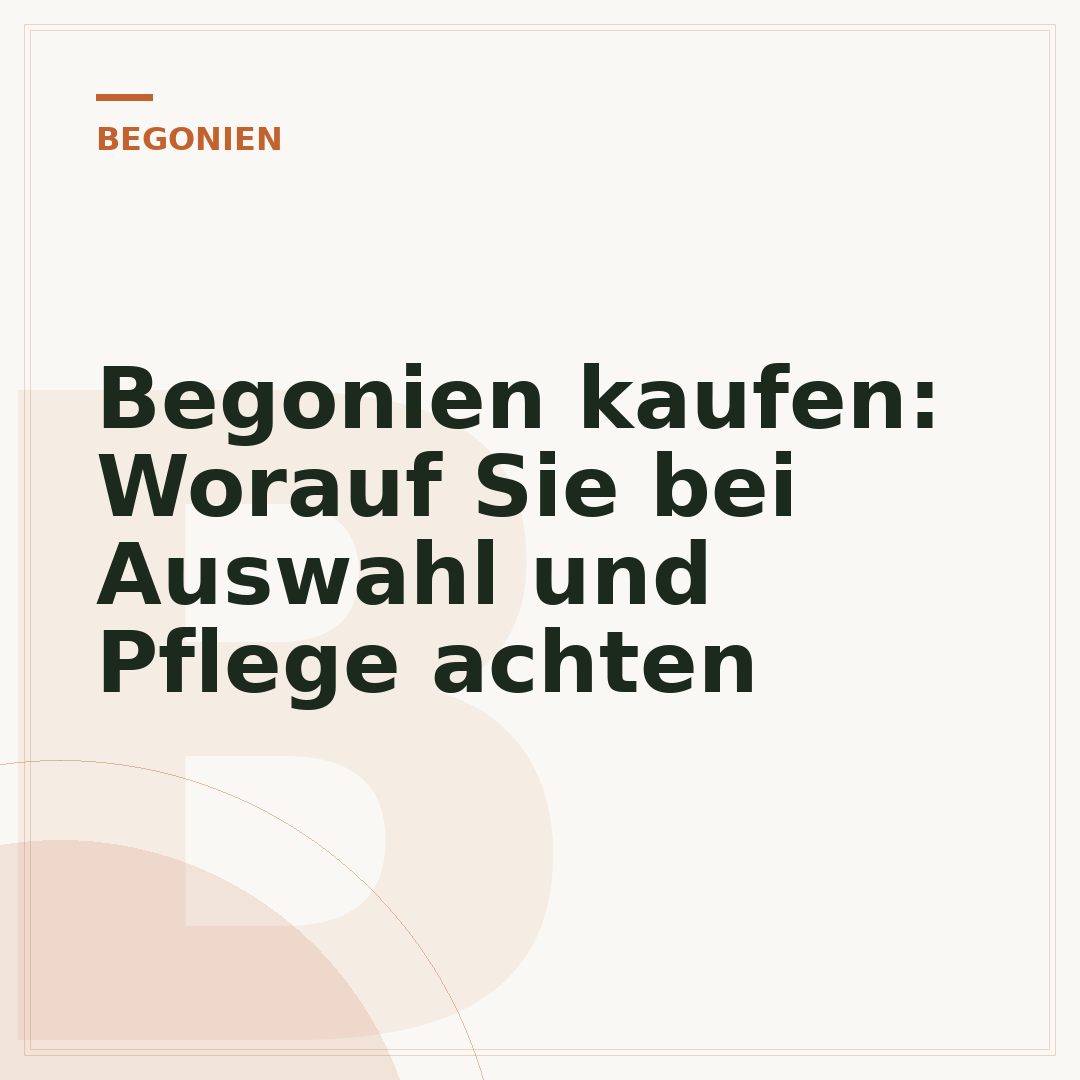 Begonien kaufen: Worauf Sie bei Auswahl und Pflege achten