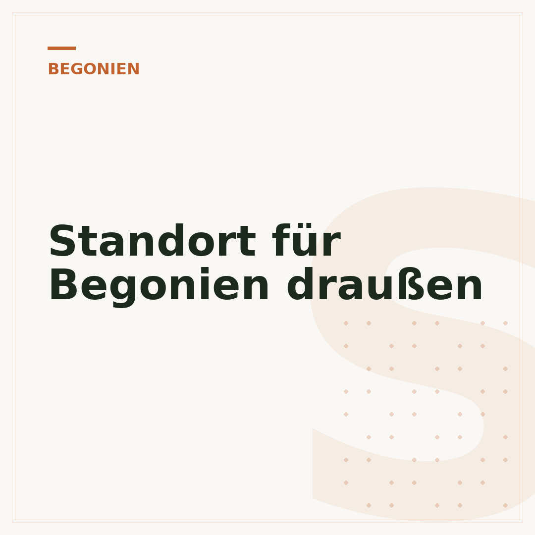 Standort für Begonien draußen