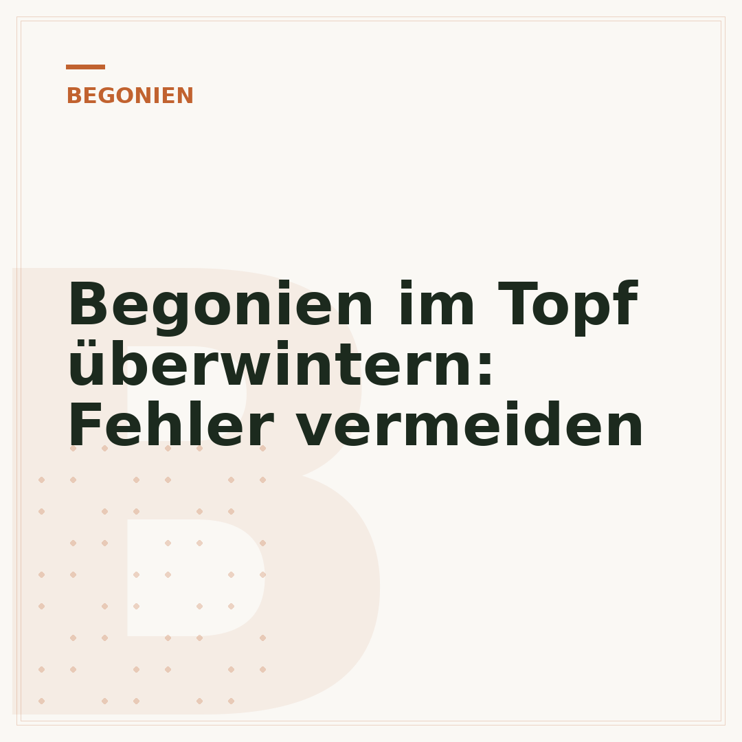 Begonien im Topf überwintern: Fehler vermeiden