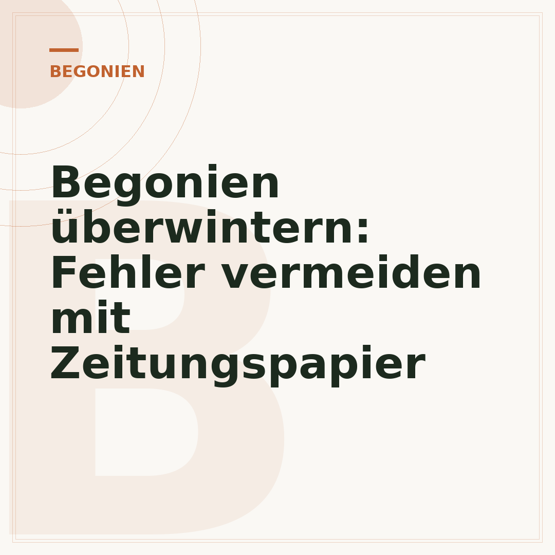Begonien überwintern: Fehler vermeiden mit Zeitungspapier