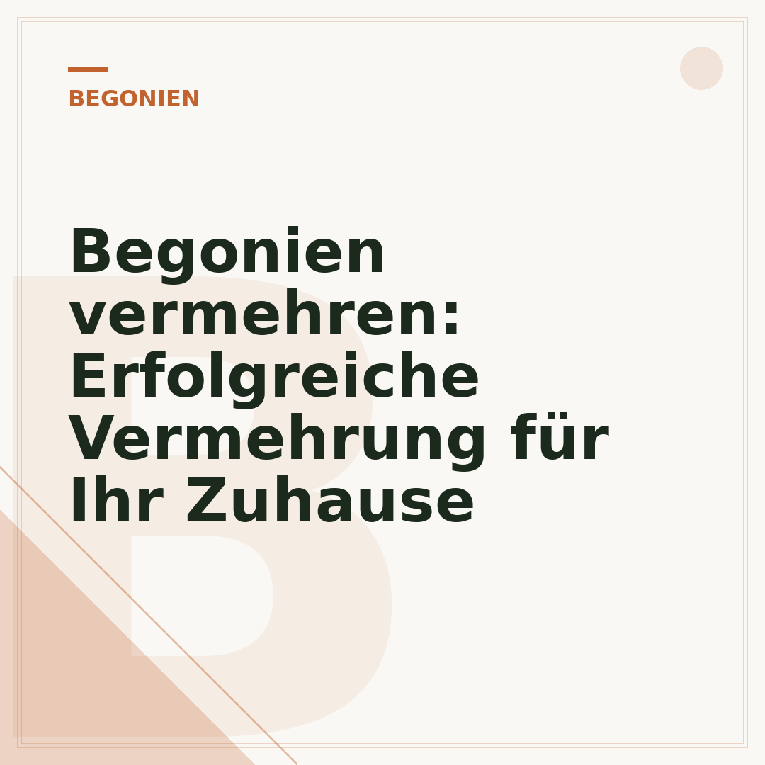 Begonien vermehren: Erfolgreiche Vermehrung für Ihr Zuhause