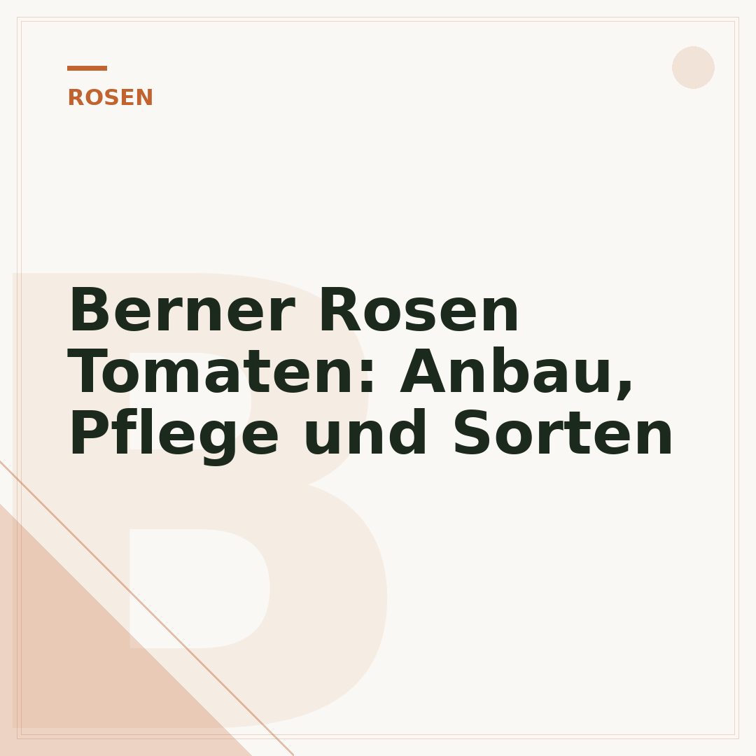 Berner Rosen Tomaten: Anbau, Pflege und Sorten