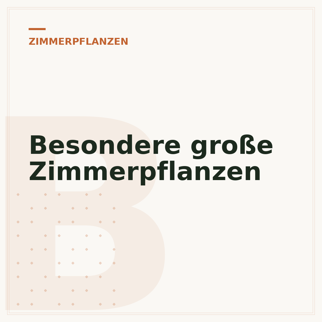 Besondere große Zimmerpflanzen