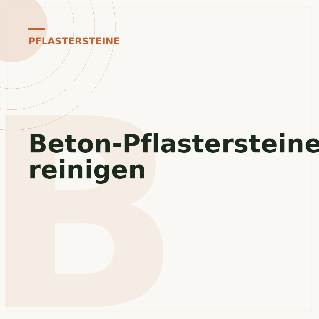 Beton-Pflastersteine reinigen