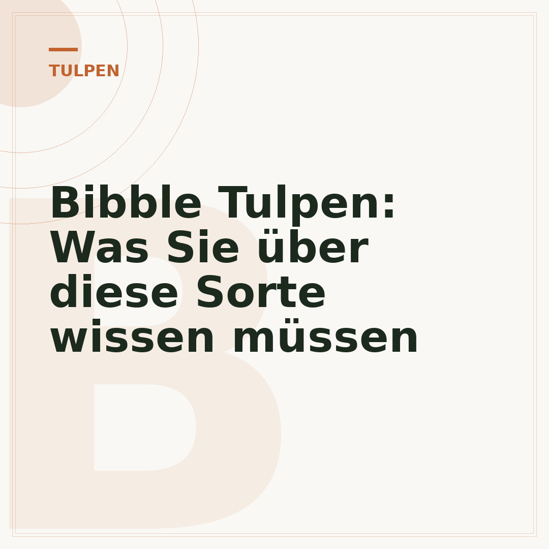 Bibble Tulpen: Was Sie über diese Sorte wissen müssen