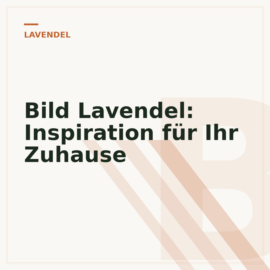 Bild Lavendel: Inspiration für Ihr Zuhause