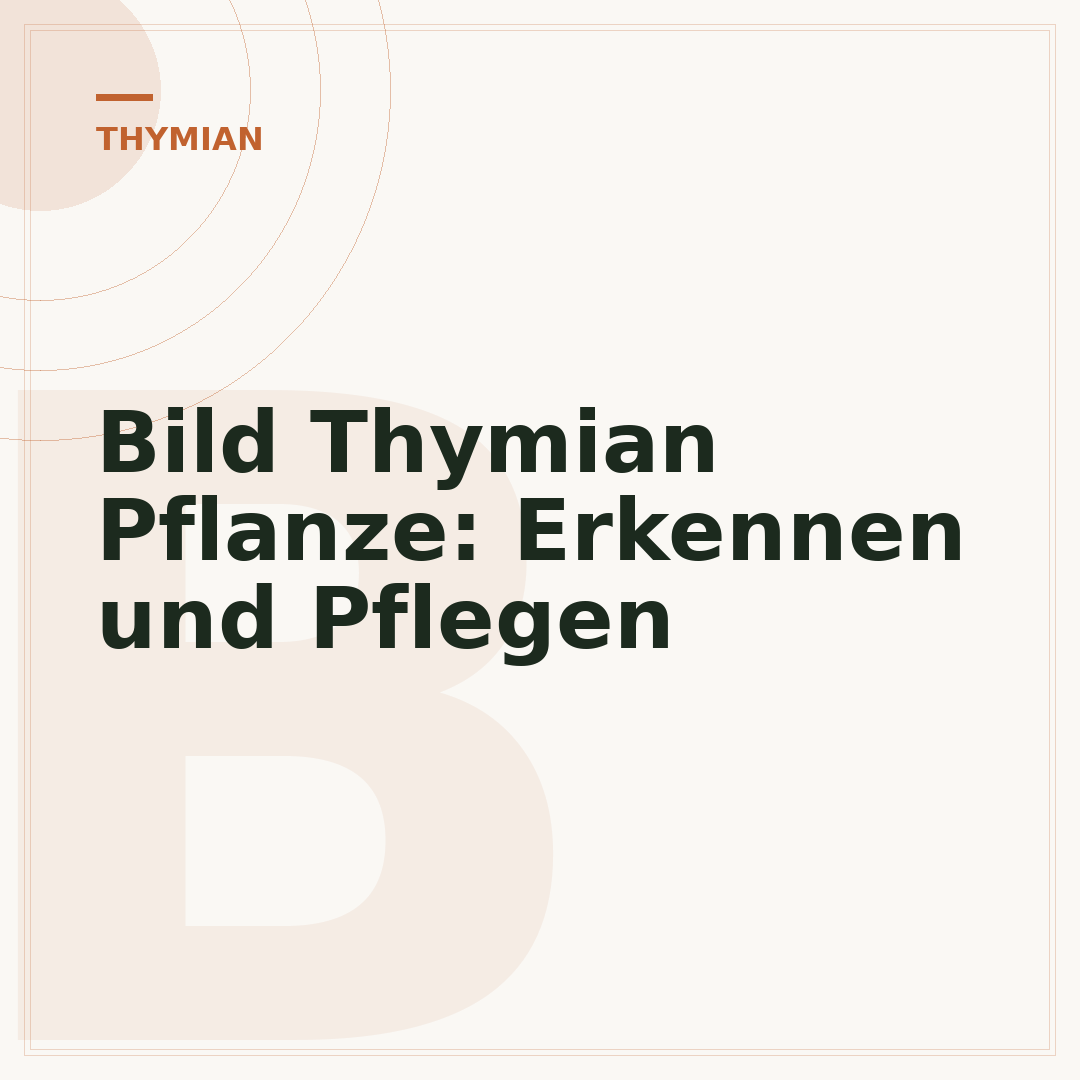Bild Thymian Pflanze: Erkennen und Pflegen