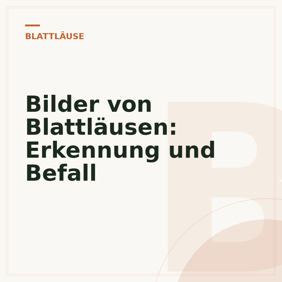 Bilder von Blattläusen: Erkennung und Befall