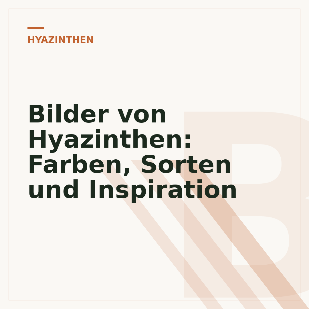 Bilder von Hyazinthen: Farben, Sorten und Inspiration