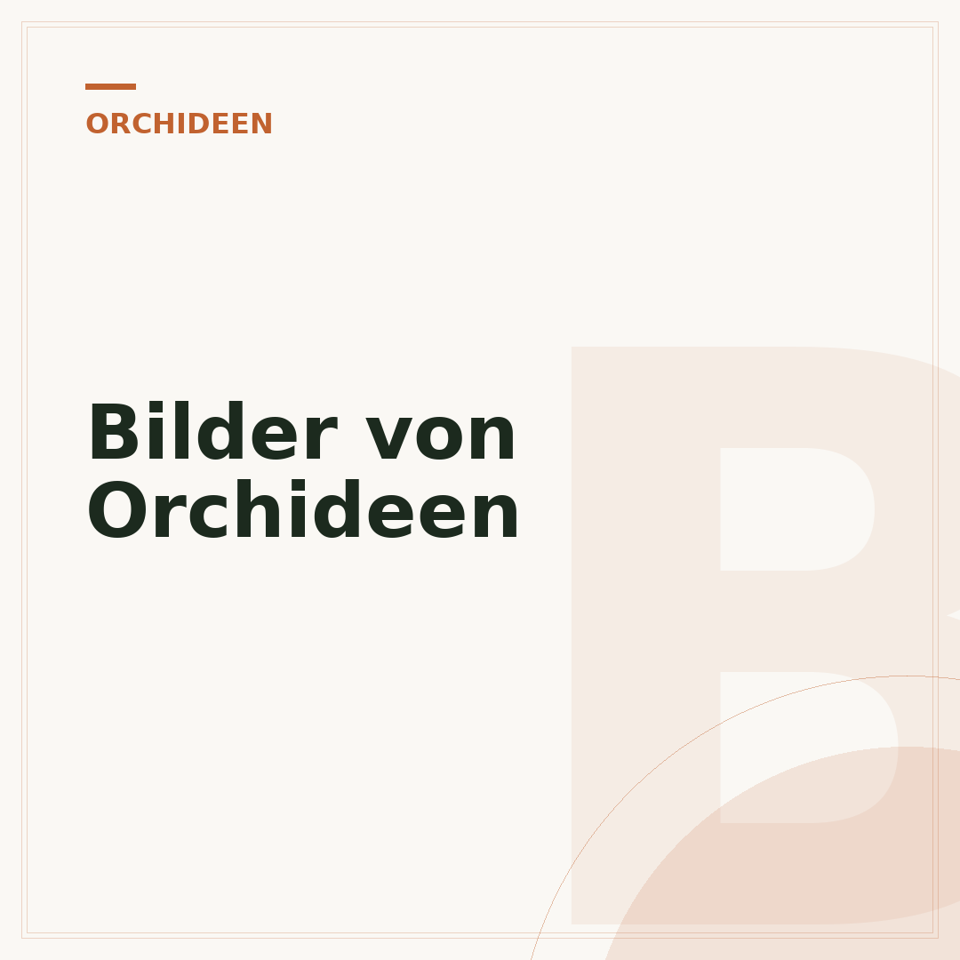 Bilder von Orchideen