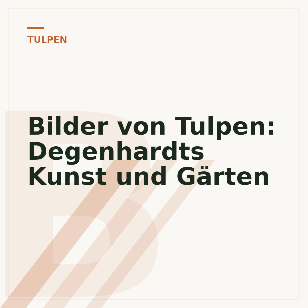 Bilder von Tulpen: Degenhardts Kunst und Gärten