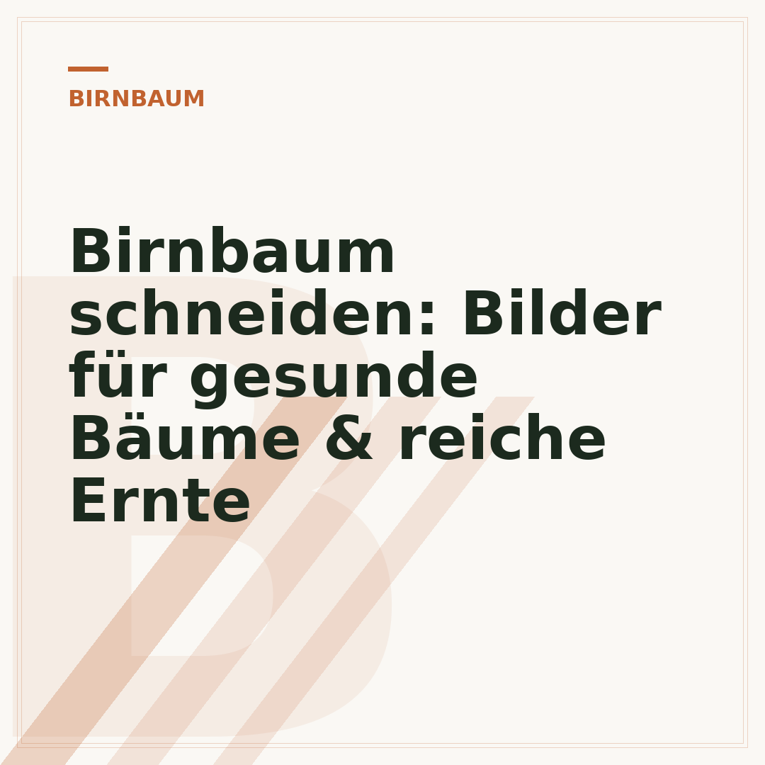 Birnbaum schneiden: Bilder für gesunde Bäume & reiche Ernte