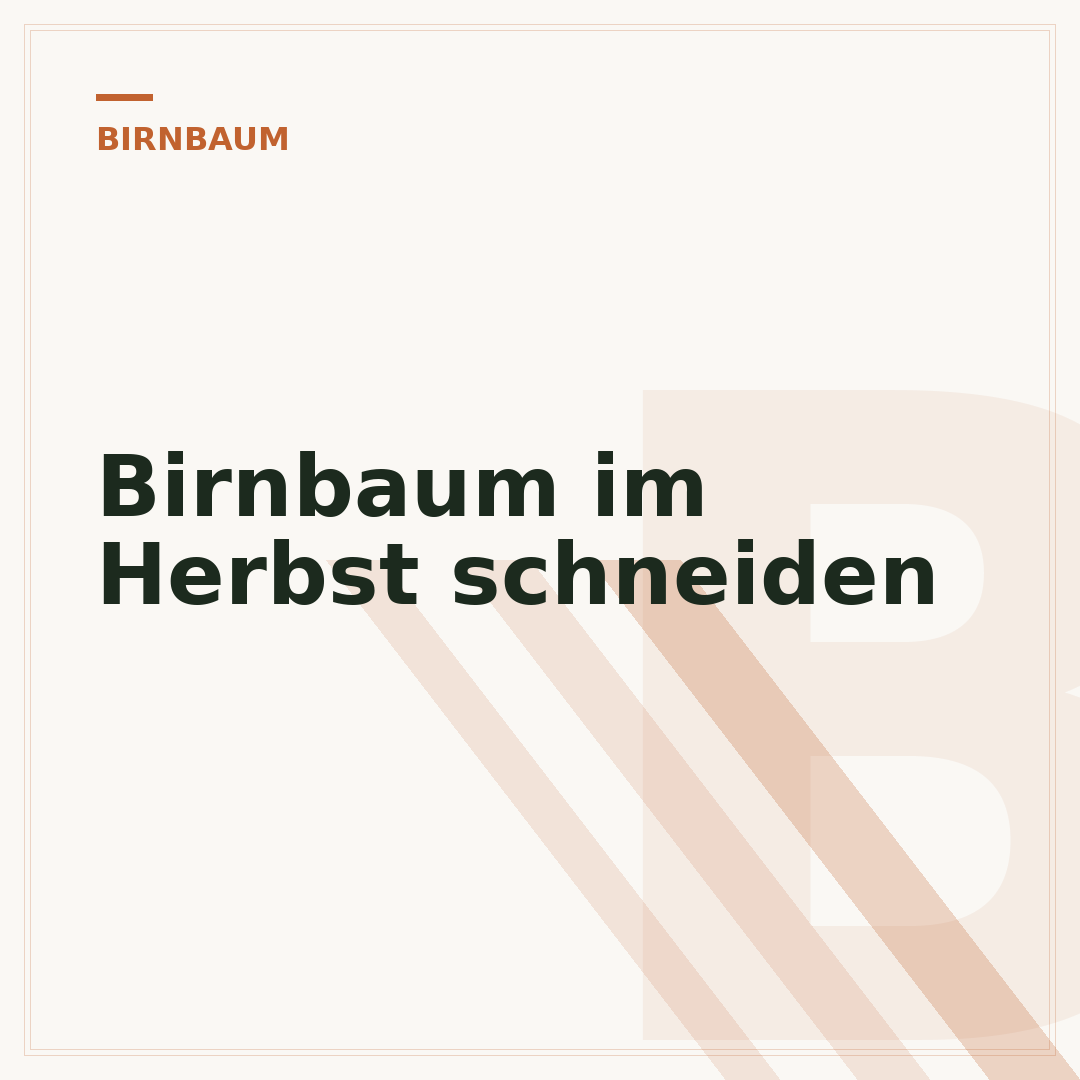 Birnbaum im Herbst schneiden