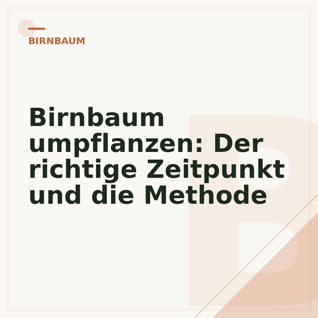 Birnbaum umpflanzen: Der richtige Zeitpunkt und die Methode