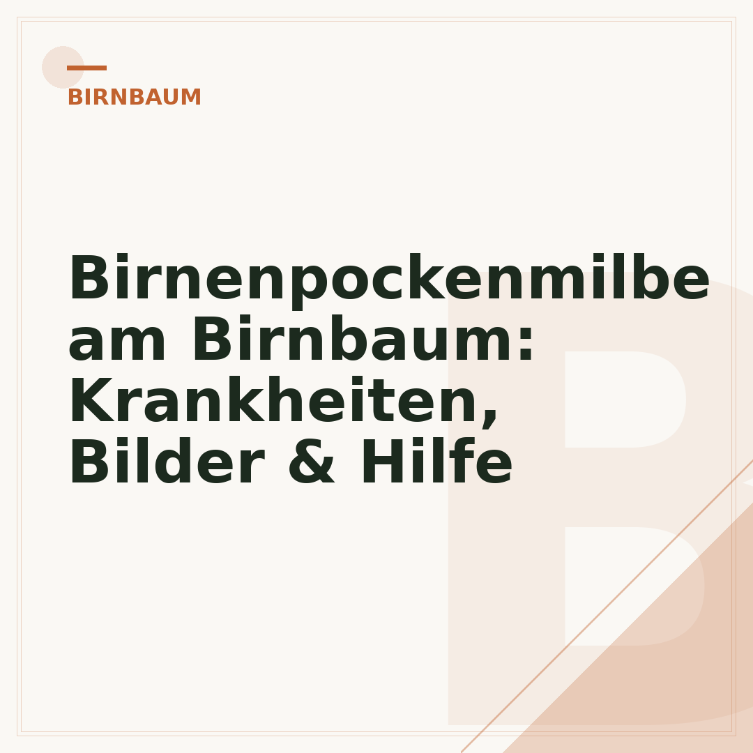 Birnenpockenmilbe am Birnbaum: Krankheiten, Bilder & Hilfe