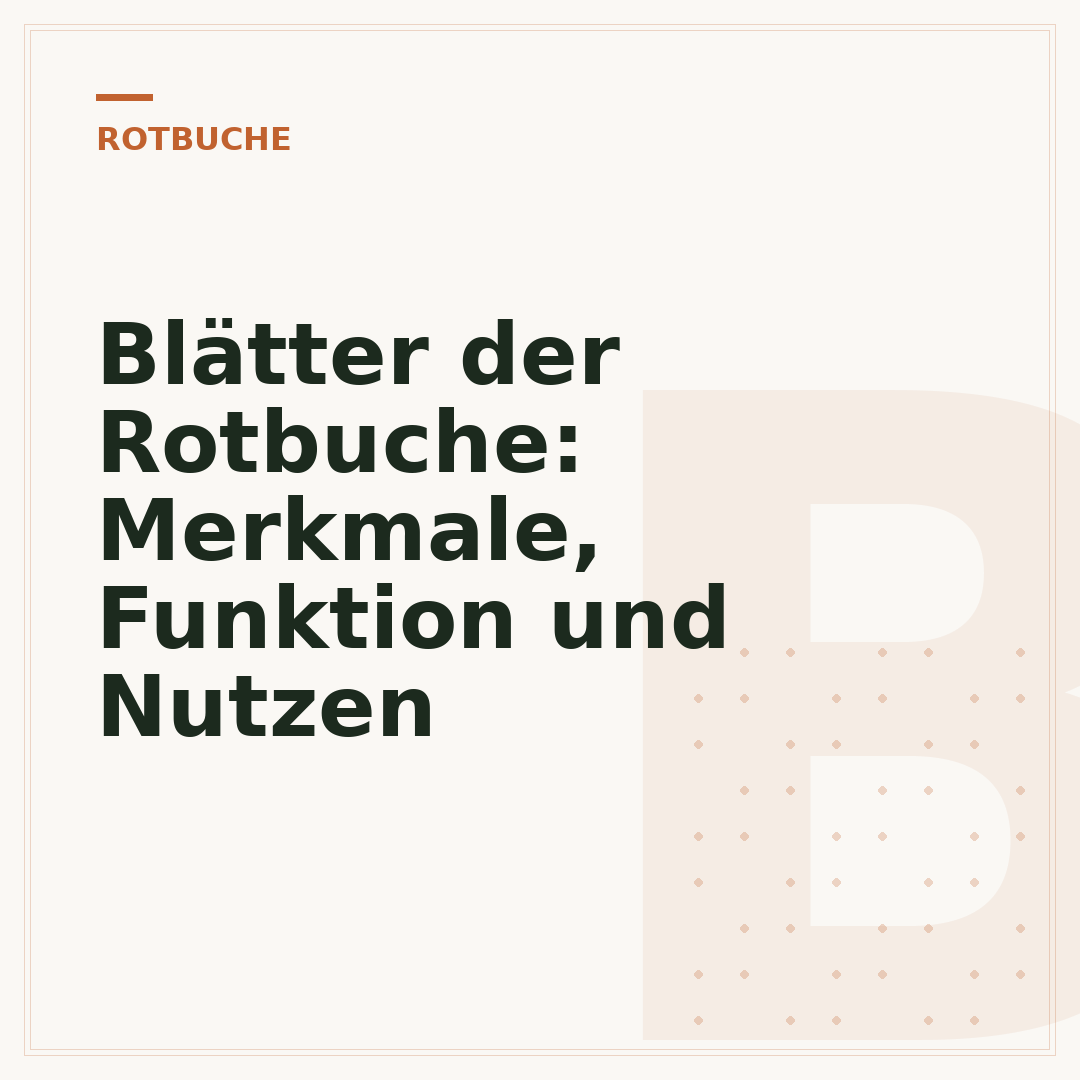 Blätter der Rotbuche: Merkmale, Funktion und Nutzen