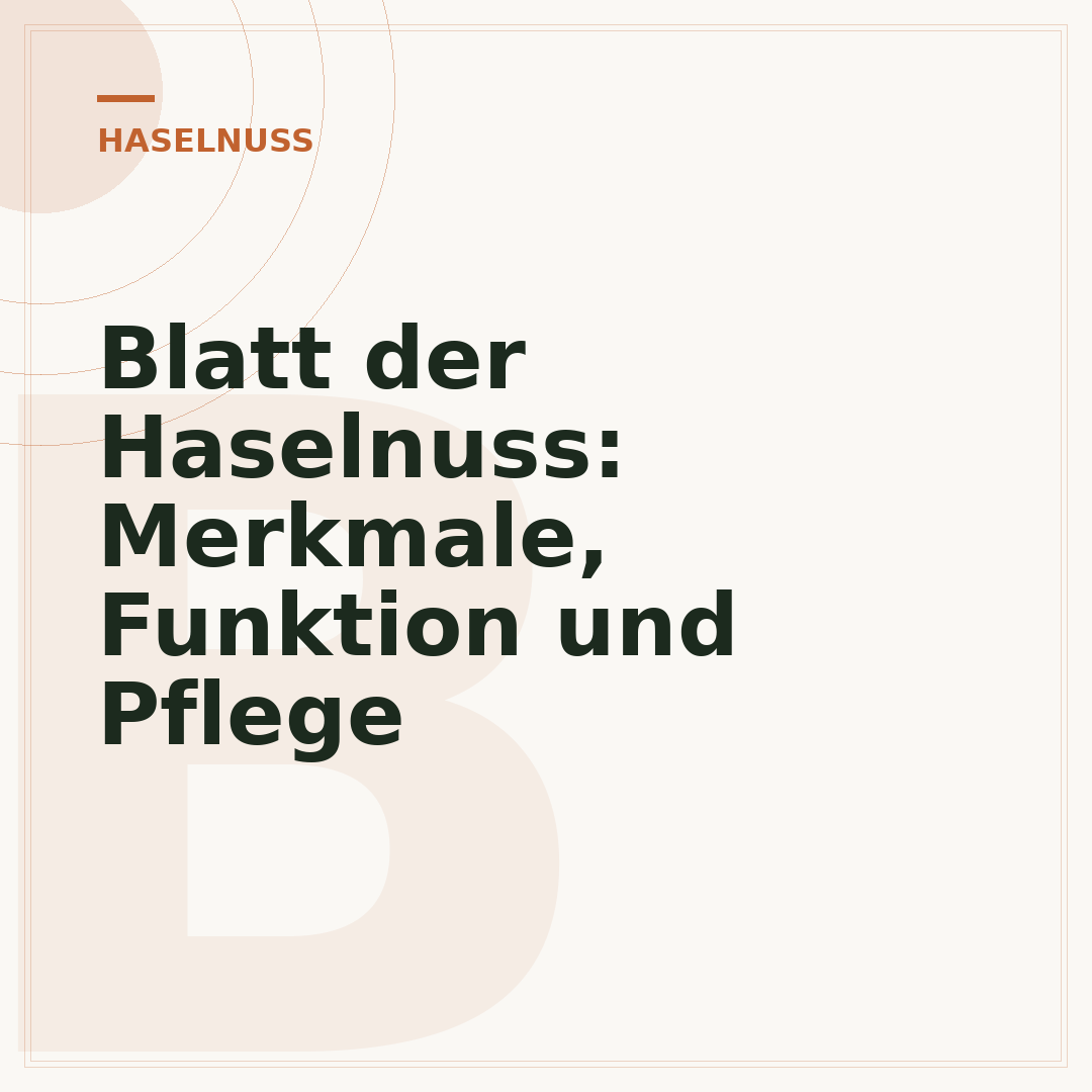 Blatt der Haselnuss: Merkmale, Funktion und Pflege