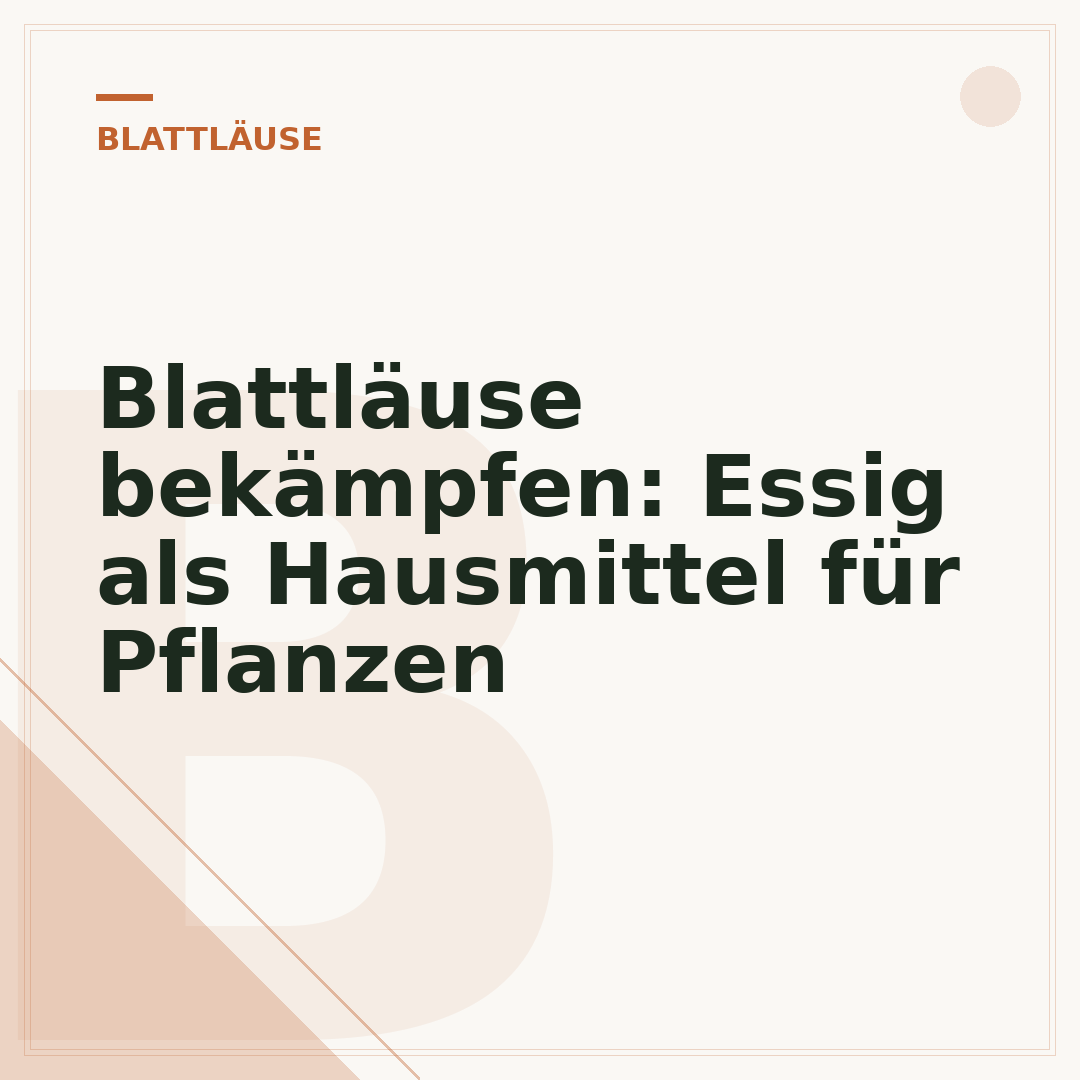 Blattläuse bekämpfen: Essig als Hausmittel für Pflanzen