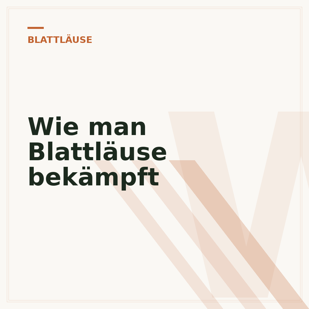 Wie man Blattläuse bekämpft