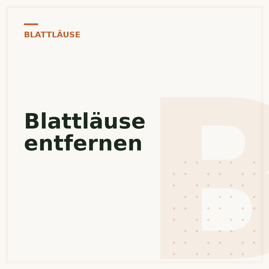 Blattläuse entfernen