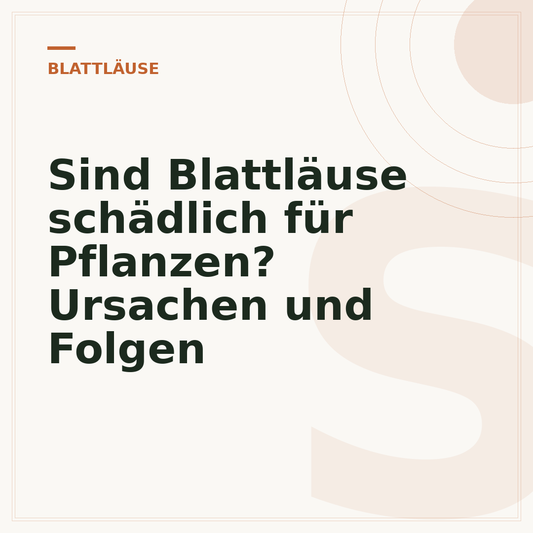 Sind Blattläuse schädlich für Pflanzen? Ursachen und Folgen