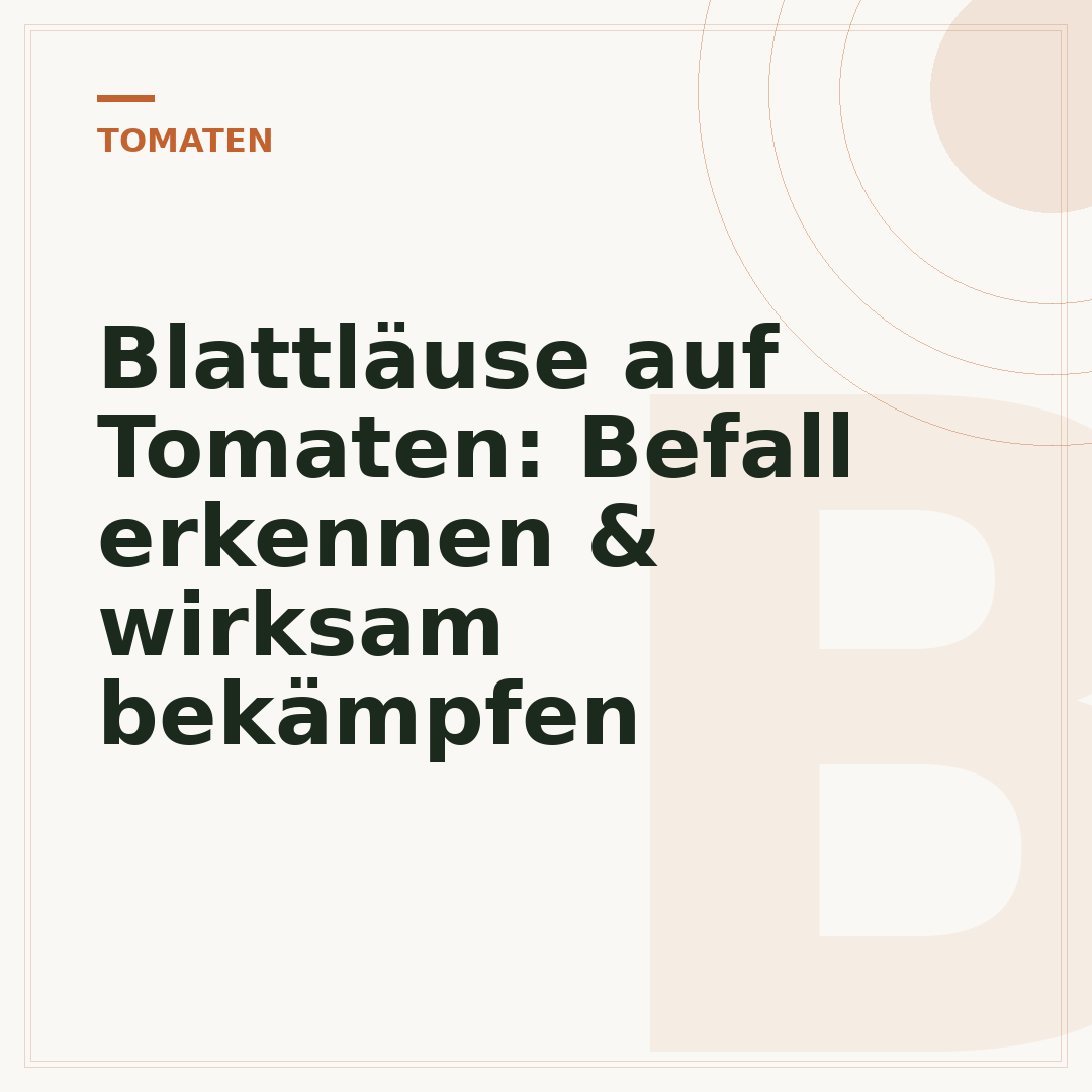 Blattläuse auf Tomaten: Befall erkennen & wirksam bekämpfen