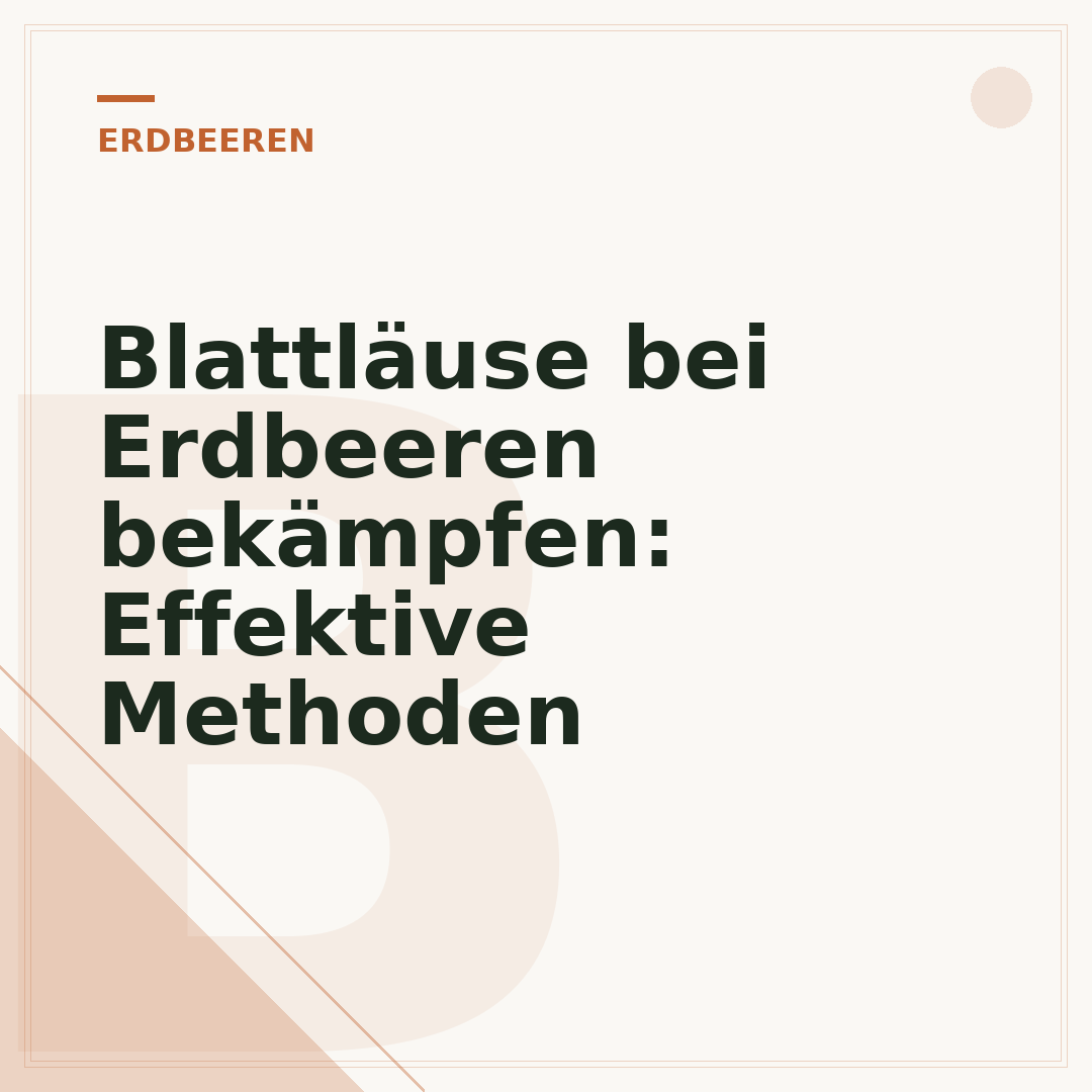Blattläuse bei Erdbeeren bekämpfen: Effektive Methoden