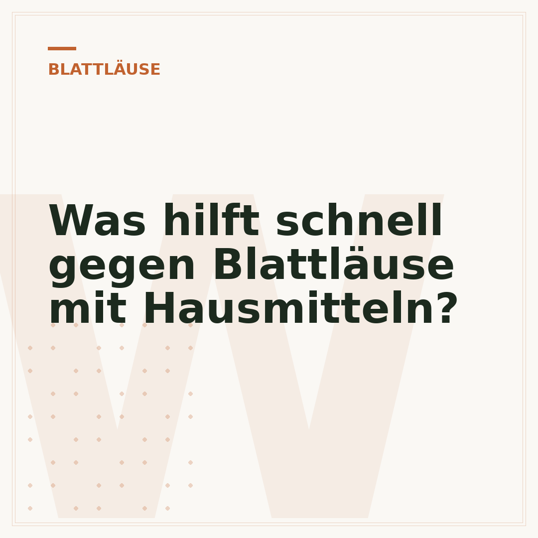 Was hilft schnell gegen Blattläuse mit Hausmitteln?