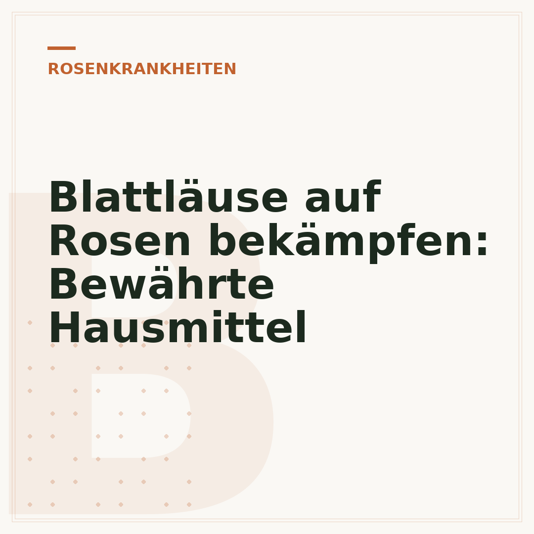 Blattläuse auf Rosen bekämpfen: Bewährte Hausmittel